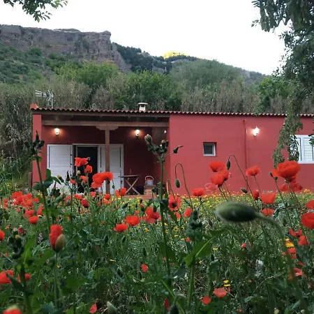 Rafael Holiday home Vega de San Mateo